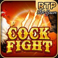 Cock Fight