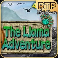 The Llama Adventure