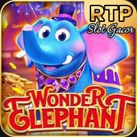 Wonder Elephant